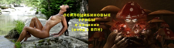соль ск Кодинск