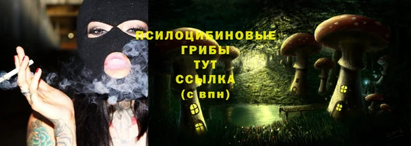 прущий лед Коряжма