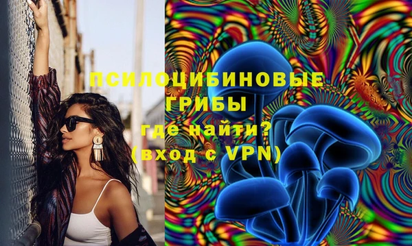 мяу мяу мука Козельск