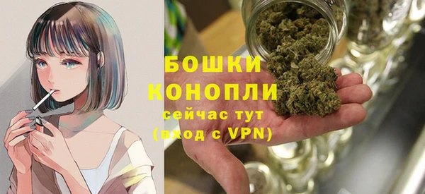 прущие крисы Козловка
