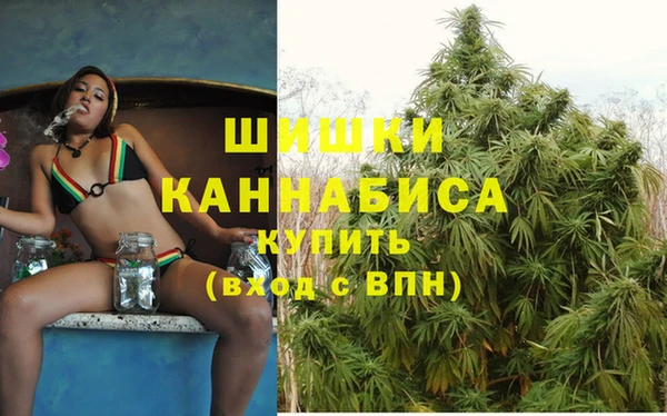 соль ск Кодинск