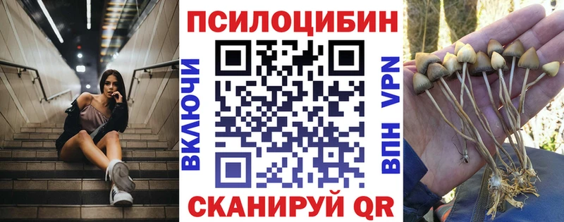 купить  цена  Люберцы  Псилоцибиновые грибы GOLDEN TEACHER 