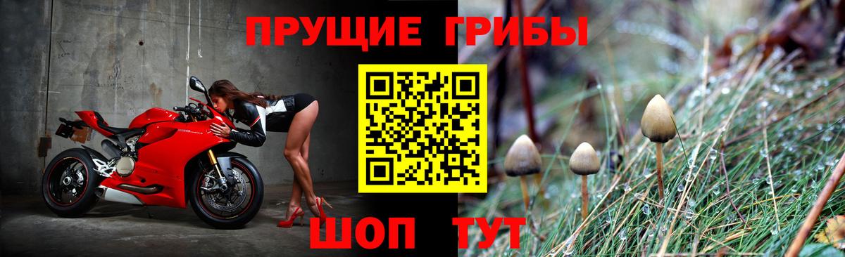 Галлюциногенные грибы Cubensis  Вход с VPN  где купить наркоту  Люберцы 